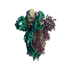 Protein Garden